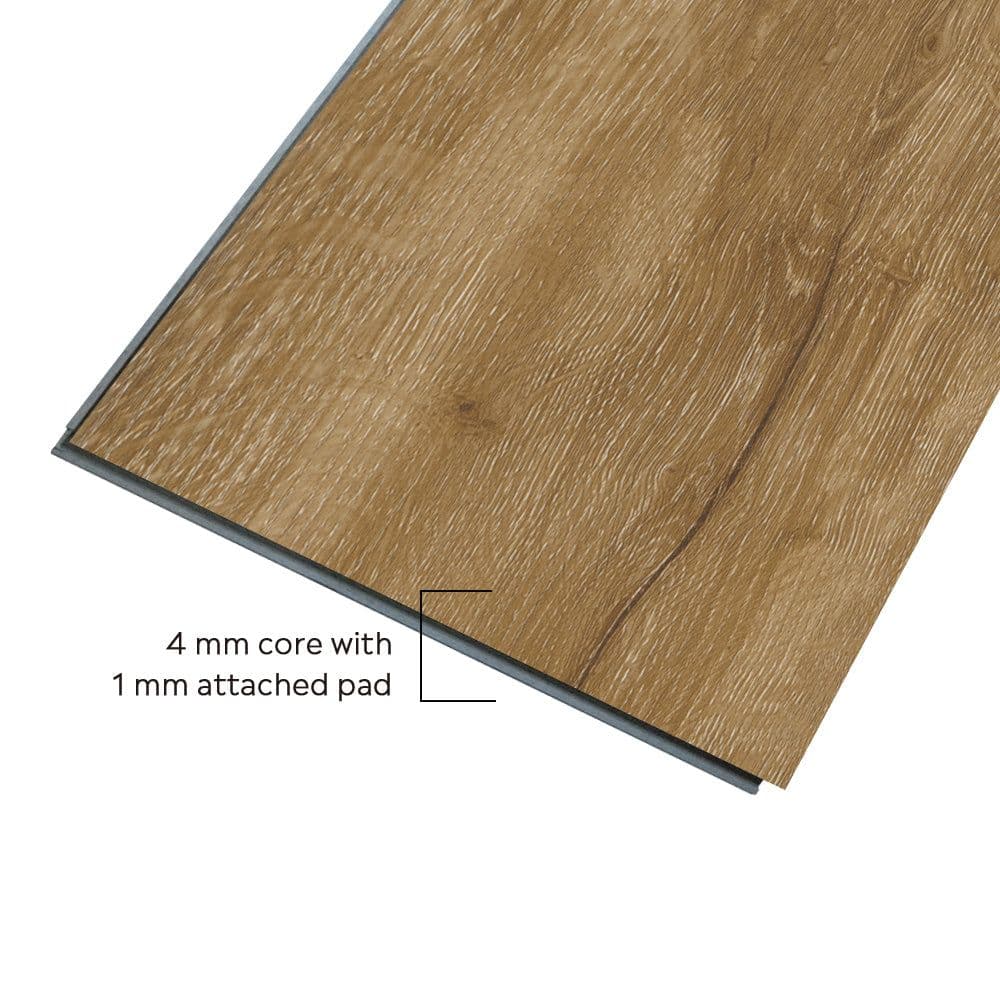 Capital Medium alternate view