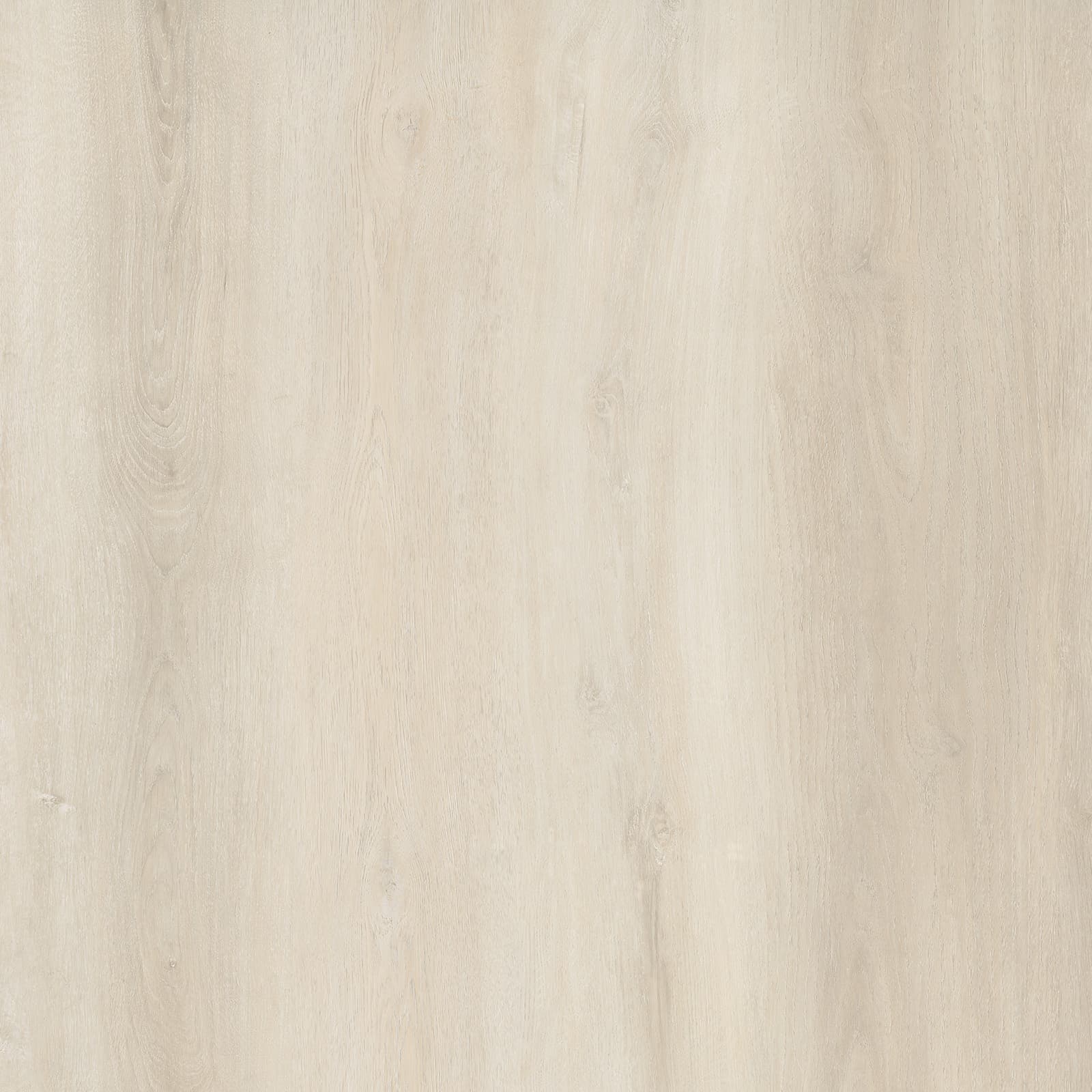 White Birch
