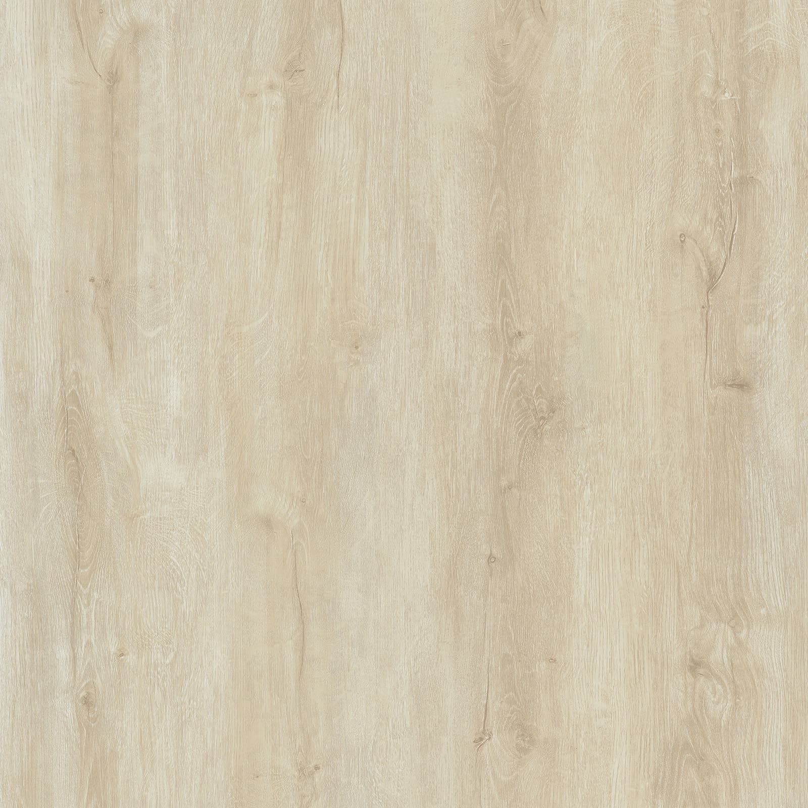 Cream Teak
