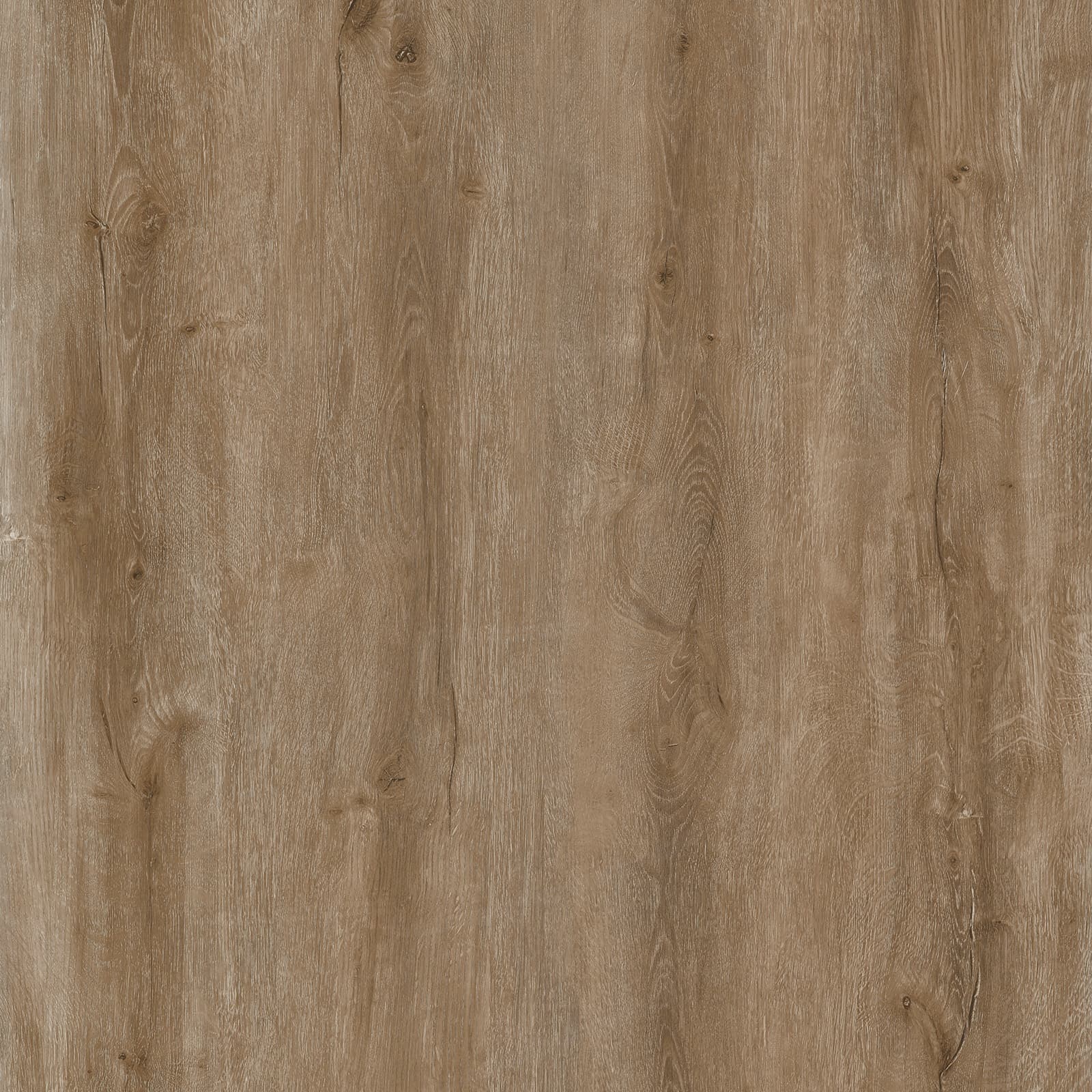 Autumn Oak