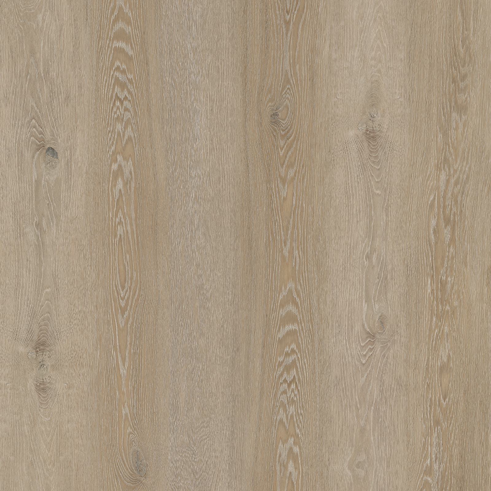Weathered Ridge Oak