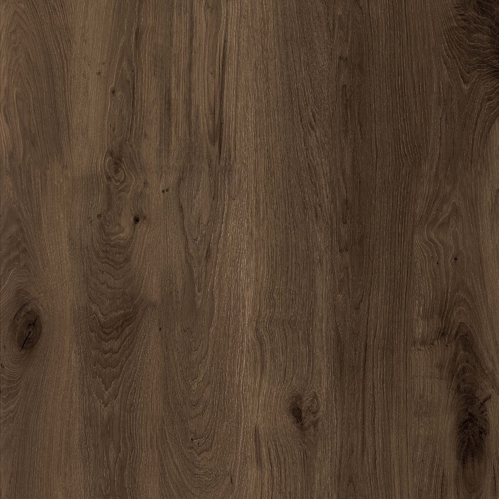 Hazel Wood