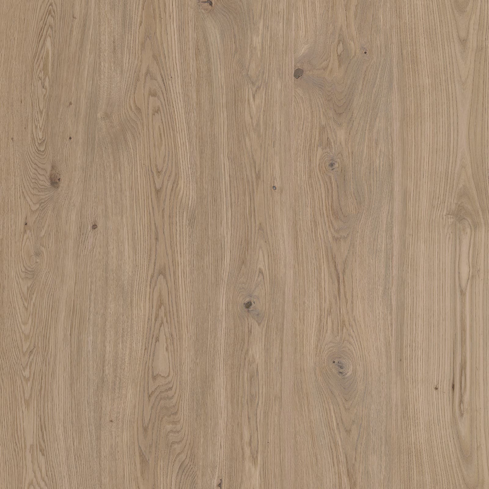 Warm Hickory