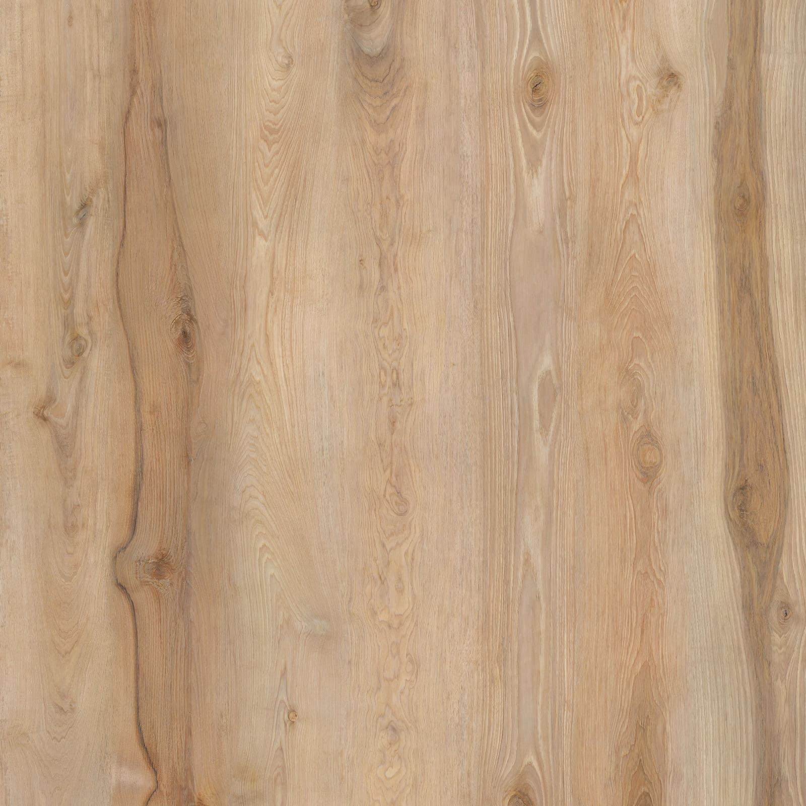 Golden Hickory