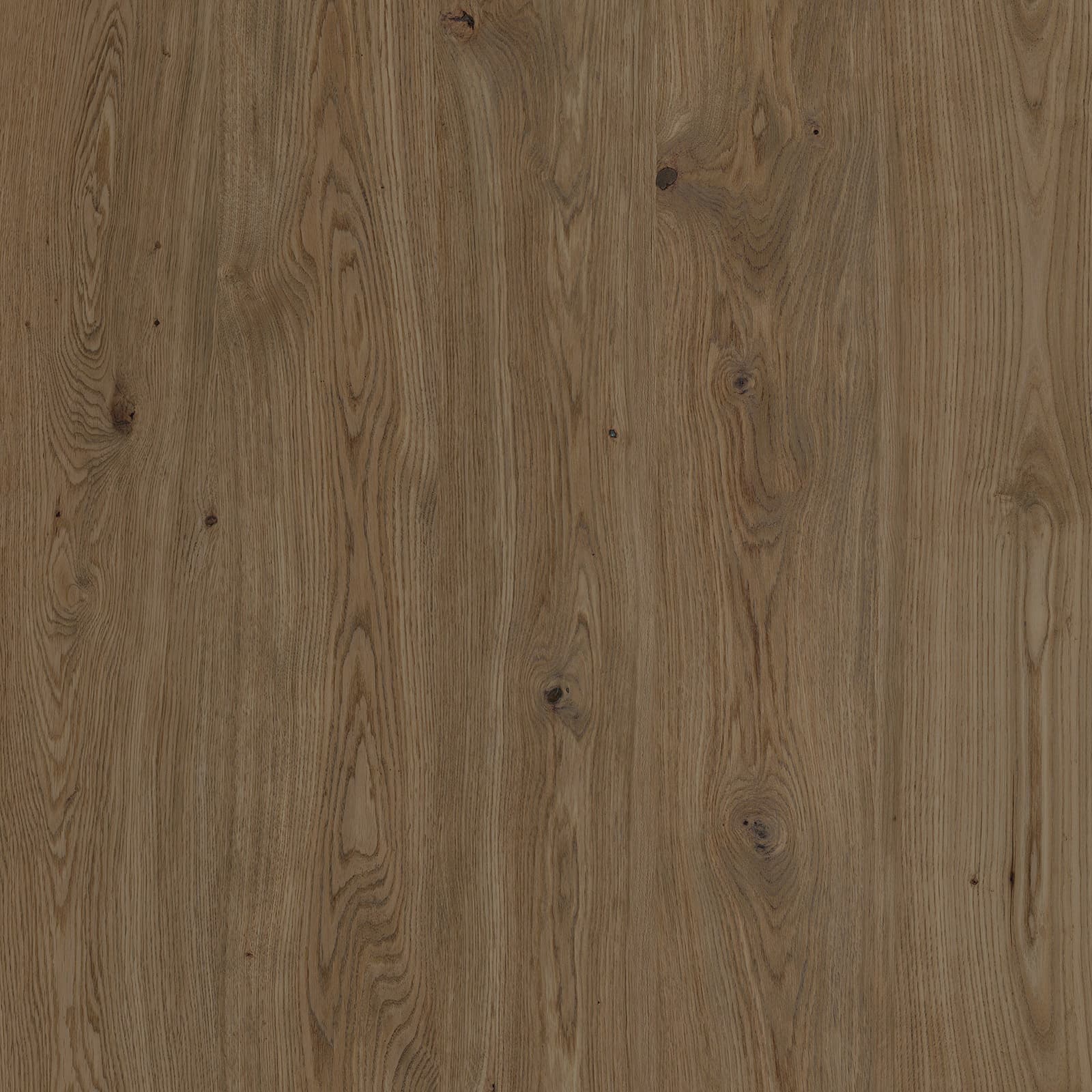Plain Brown