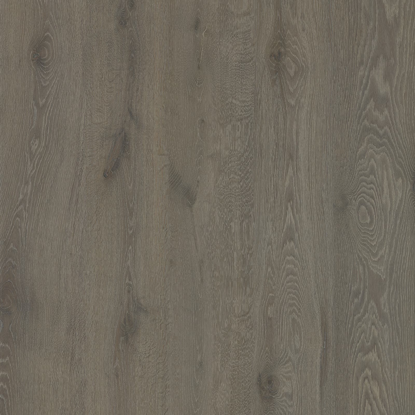 Gray Oak